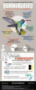tips seo Hummingbird